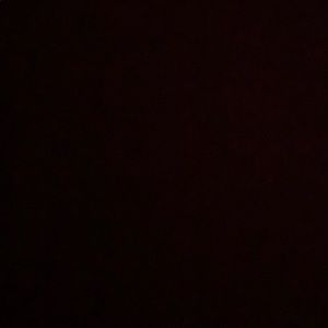 Meet your Posher, Allie